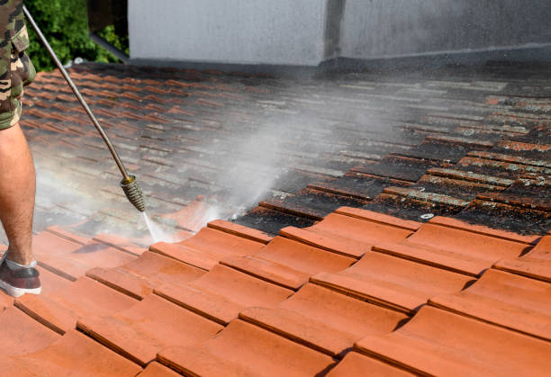 Best Pressure Washing Near Me  in New Providence, NJ